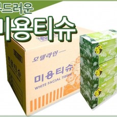 곽티슈